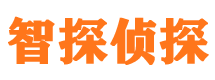 碾子山外遇出轨调查取证